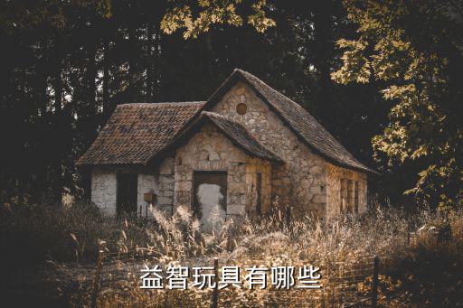 球友会益智类的玩具益智玩具有那些(图2)